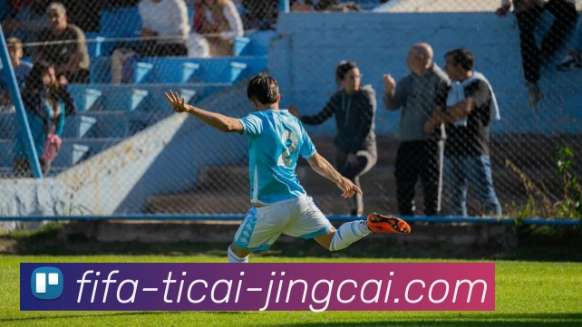 世界杯体彩竞猜平台生态图